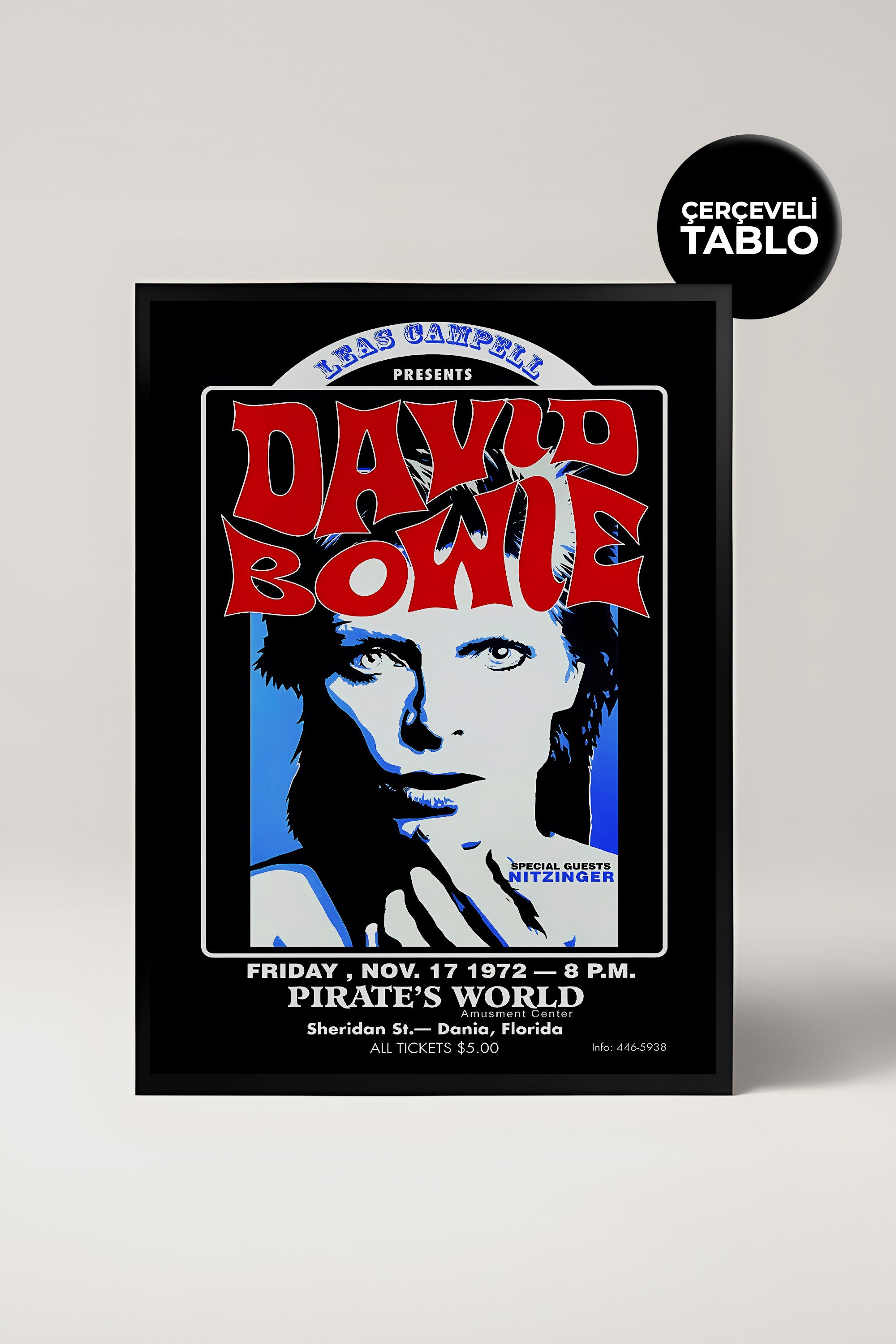 David Bowie Konser Tasarımlı Retro Çerçeveli Tasarım Tablo